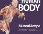 human-body-0