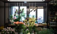 Botanica6