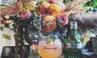 Botanica3