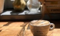 Botanica4