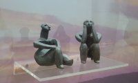 Muzeul de Istorie Națională și Arheologie, Constanța