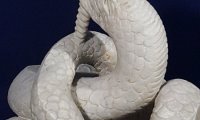 Sarpele Glykon, Muzeul de Istorie Națională și Arheologie, Constanța