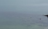 Constanta