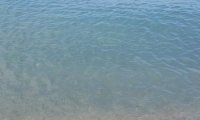 Plaja Constanta