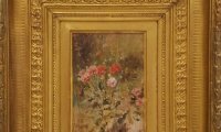 Flori sălbatice din România—o istorie botanică (11)