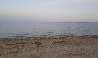 Jurilova – Lacul Razelm (4)