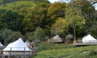 Green Camp (3)