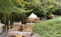 Green Camp (7)