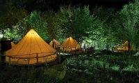 Green Camp (37)
