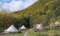 Green Camp (42)