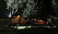 Green Camp (43)