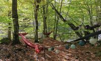 Green Camp (44)