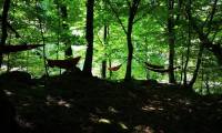 Green Camp (45)