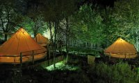 Green Camp (20)