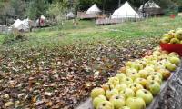 Green Camp (31)