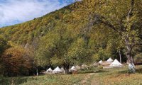 Green Camp (35)