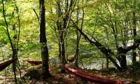 Green Camp (36)