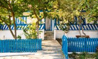 Suvenir din Dobrogea (38)