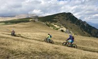 Bike – Boarder’s Cottage (2)