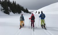 Snowboard – Boarder’s Cottage (1)