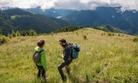 Comisu Wildlife Hides – Travel Carpathia (22)