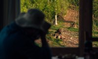 Bunea Wilderness Cabin – Travel Carpathia (7)