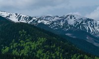 Bunea Wilderness Cabin – Travel Carpathia (11)