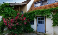 Cobor Farm – Travel Carpathia (53)