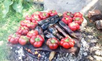Salată de vinete coapte