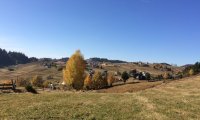 Weekend la munte: eBike la Fundata