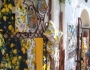 Positano, Coasta Amalfi