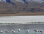 Bolivia