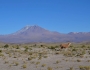 Bolivia