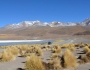 Bolivia