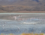 Bolivia