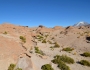 Bolivia