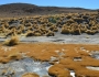 Bolivia