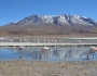 Bolivia