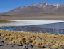 Bolivia