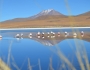 Bolivia