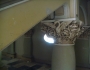 Cazinoul din Constanta - interior