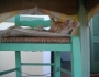paxos1