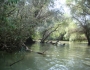 dsc03550