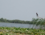 dsc03594