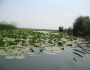 dsc03597