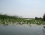 dsc03598