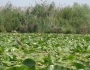 dsc03600
