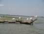 dsc03607