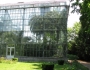 gradina-botanica-cluj-napoca