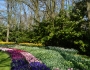 Keukenhof - Amsterdam